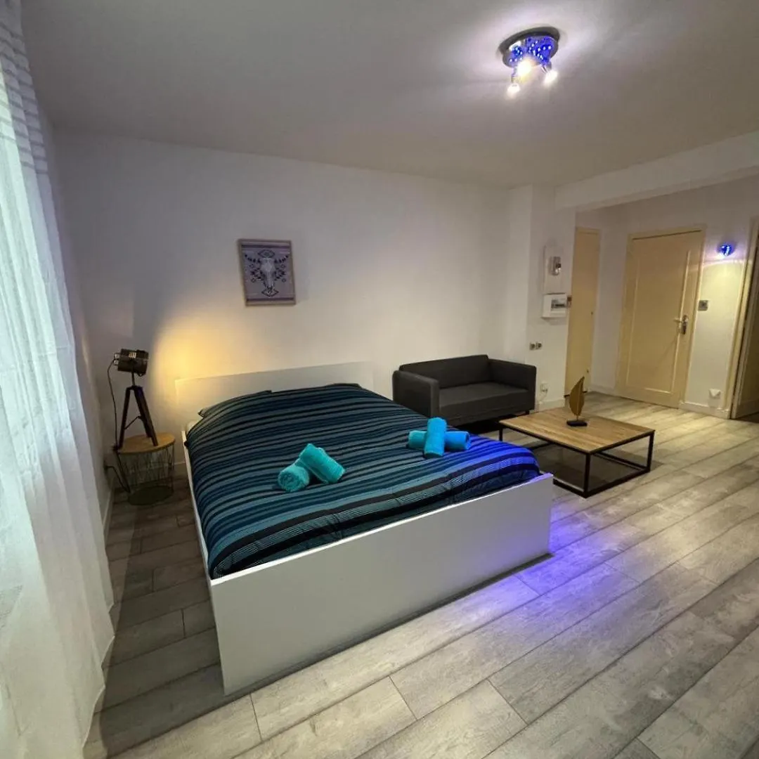 Superbe Grand Studio, Parking Saint-Priest  Daire Saint-Priest (Rhone)
